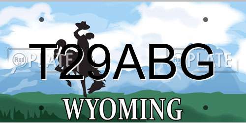 T29ABG Wyoming License Plate