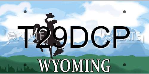 T29DCP Wyoming License Plate