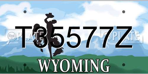 T35577Z Wyoming License Plate