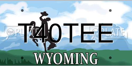 T40TEE Wyoming License Plate