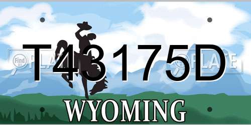 T43175D Wyoming License Plate