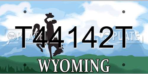 T44142T Wyoming License Plate