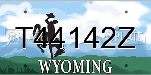 T44142Z Wyoming License Plate