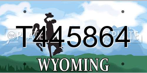 T445864 Wyoming License Plate