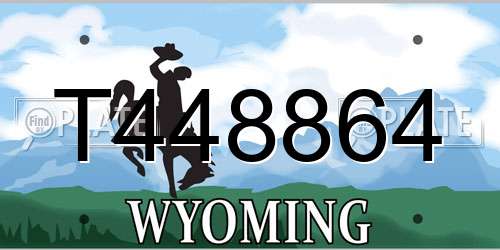 T448864 Wyoming License Plate