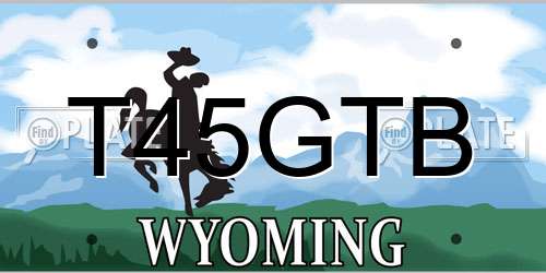 T45GTB Wyoming License Plate