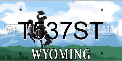 T537ST Wyoming License Plate