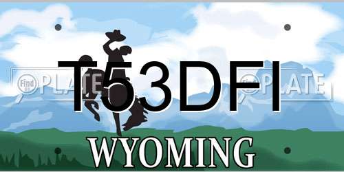 T53DFI Wyoming License Plate