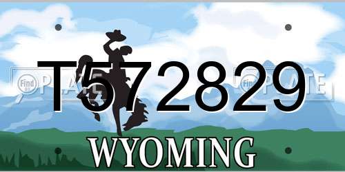 T572829 Wyoming License Plate