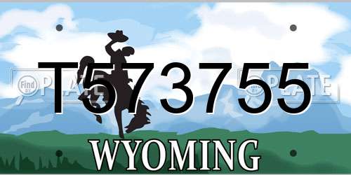 T573755 Wyoming License Plate