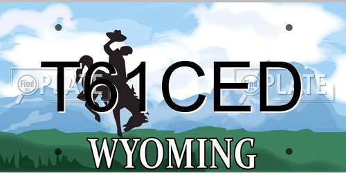 T61CED Wyoming License Plate