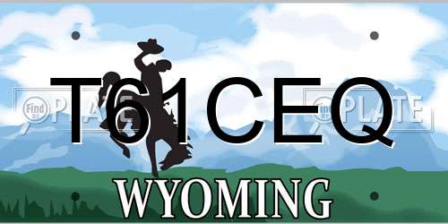 T61CEQ Wyoming License Plate