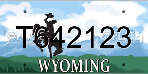 T642123 Wyoming License Plate
