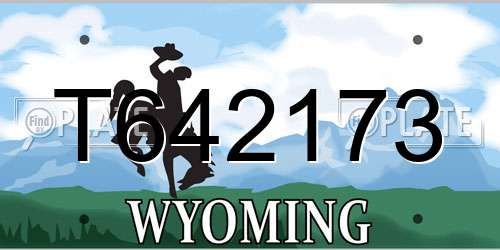 T642173 Wyoming License Plate