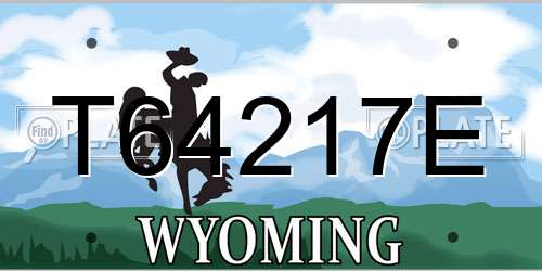 T64217E Wyoming License Plate