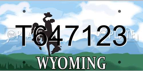 T647123 Wyoming License Plate