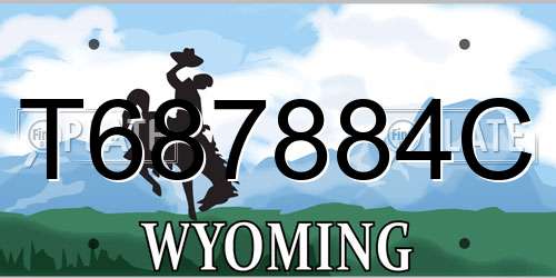 T687884C Wyoming License Plate