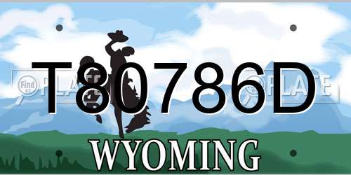 T80786D Wyoming License Plate