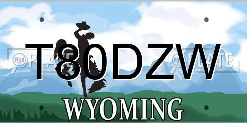 T80DZW Wyoming License Plate