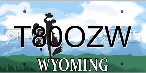 T80OZW Wyoming License Plate