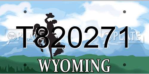 T820271 Wyoming License Plate