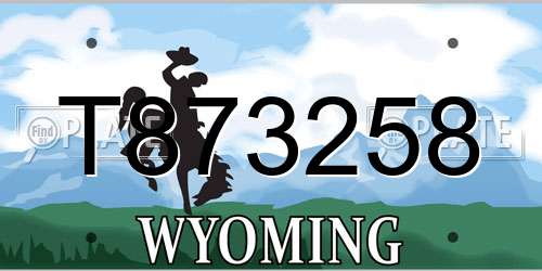 T873258 Wyoming License Plate