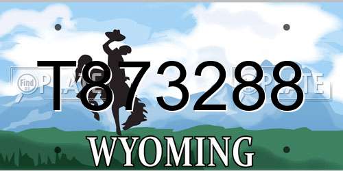 T873288 Wyoming License Plate