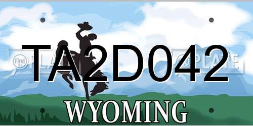 TA2D042 Wyoming License Plate