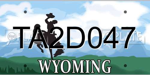TA2D047 Wyoming License Plate