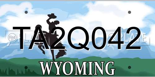 TA2Q042 Wyoming License Plate