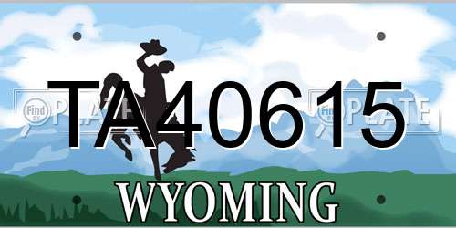TA40615 Wyoming License Plate