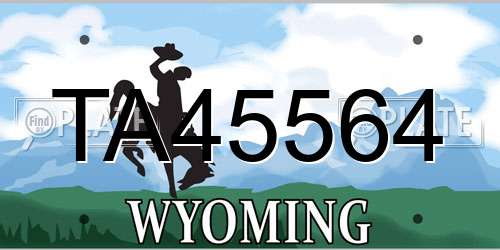 TA45564 Wyoming License Plate