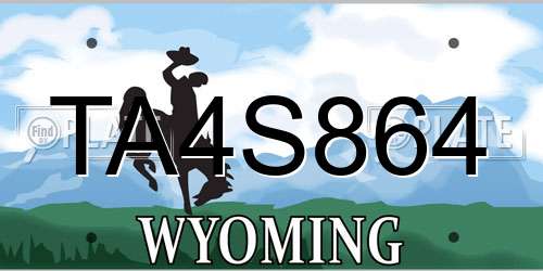 TA4S864 Wyoming License Plate