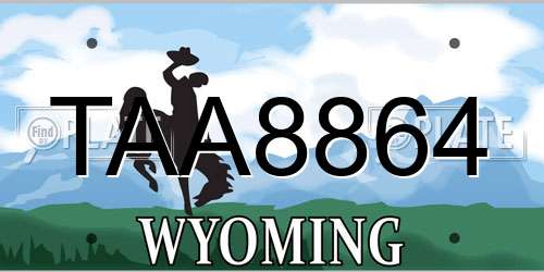 TAA8864 Wyoming License Plate