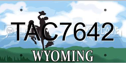 TAC7642 Wyoming License Plate
