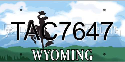TAC7647 Wyoming License Plate