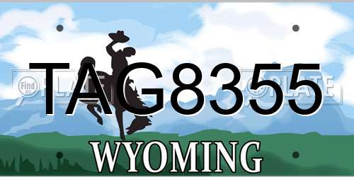TAG8355 Wyoming License Plate