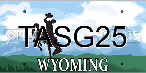 TASG25 Wyoming License Plate