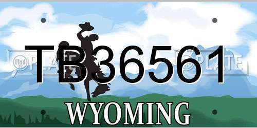 TB36561 Wyoming License Plate