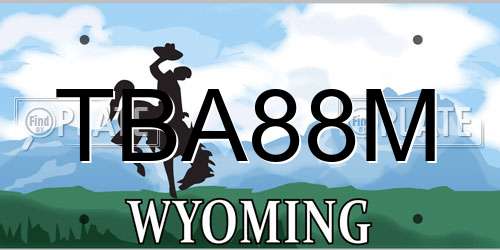 TBA88M Wyoming License Plate