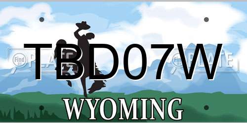 TBD07W Wyoming License Plate
