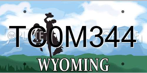 TC0M344 Wyoming License Plate