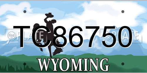 TC86750 Wyoming License Plate