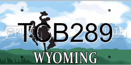 TCB289 Wyoming License Plate