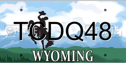 TCDQ48 Wyoming License Plate