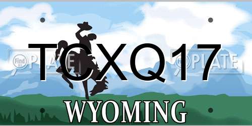 TCXQ17 Wyoming License Plate