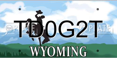 TD0G2T Wyoming License Plate