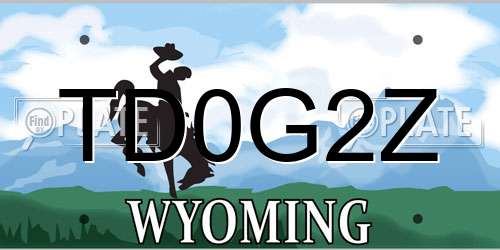 TD0G2Z Wyoming License Plate