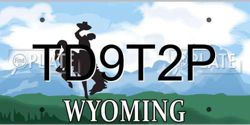 TD9T2P Wyoming License Plate