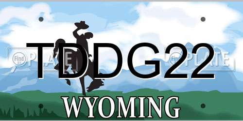 TDDG22 Wyoming License Plate